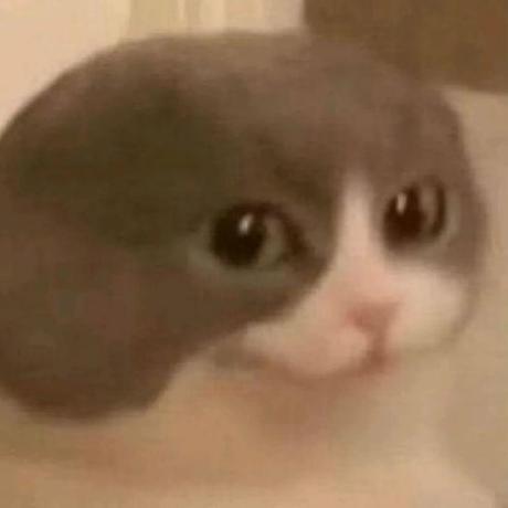 @TomChimorin